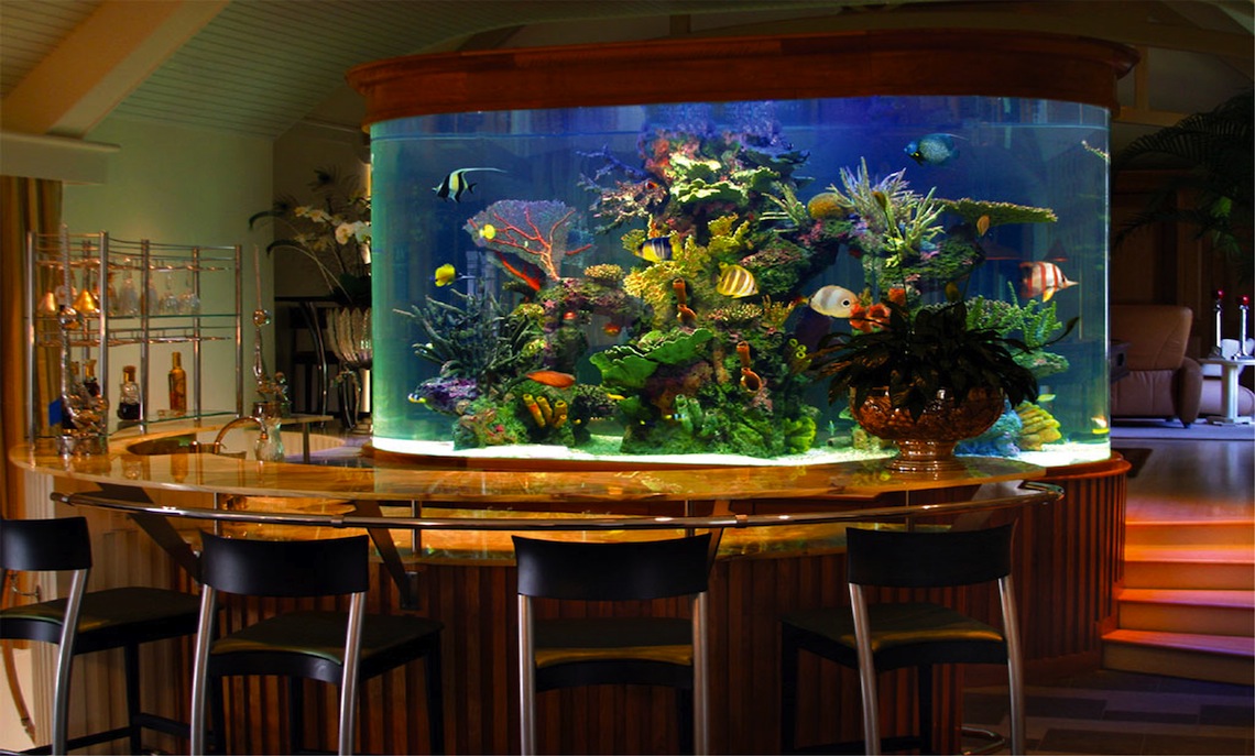 Sea Level Aquarium Sea Level Aquarium
