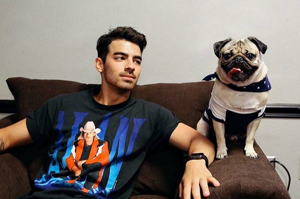 NJ Celebrities: National Dog Day NJ Celebrities: National Dog Day
