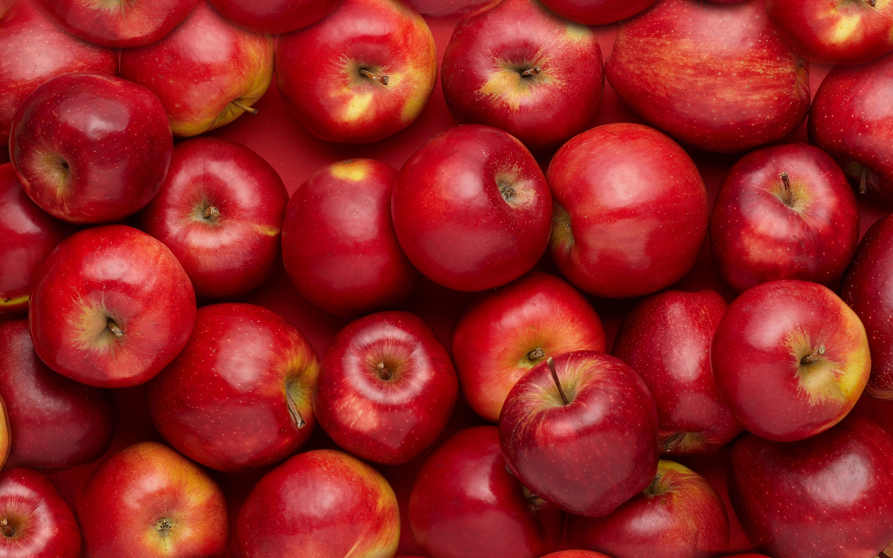 National Eat A Red Apple Day Hip New Jersey