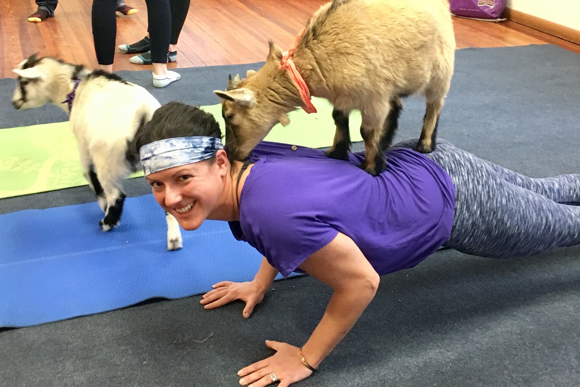 Iris Mind + Body Talks Goat Yoga