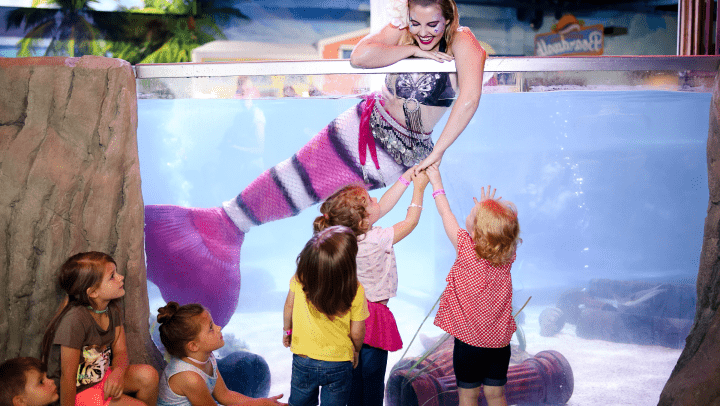 Under The Sea in Woodbridge, New Jersey Under The Sea in Woodbridge, New Jersey