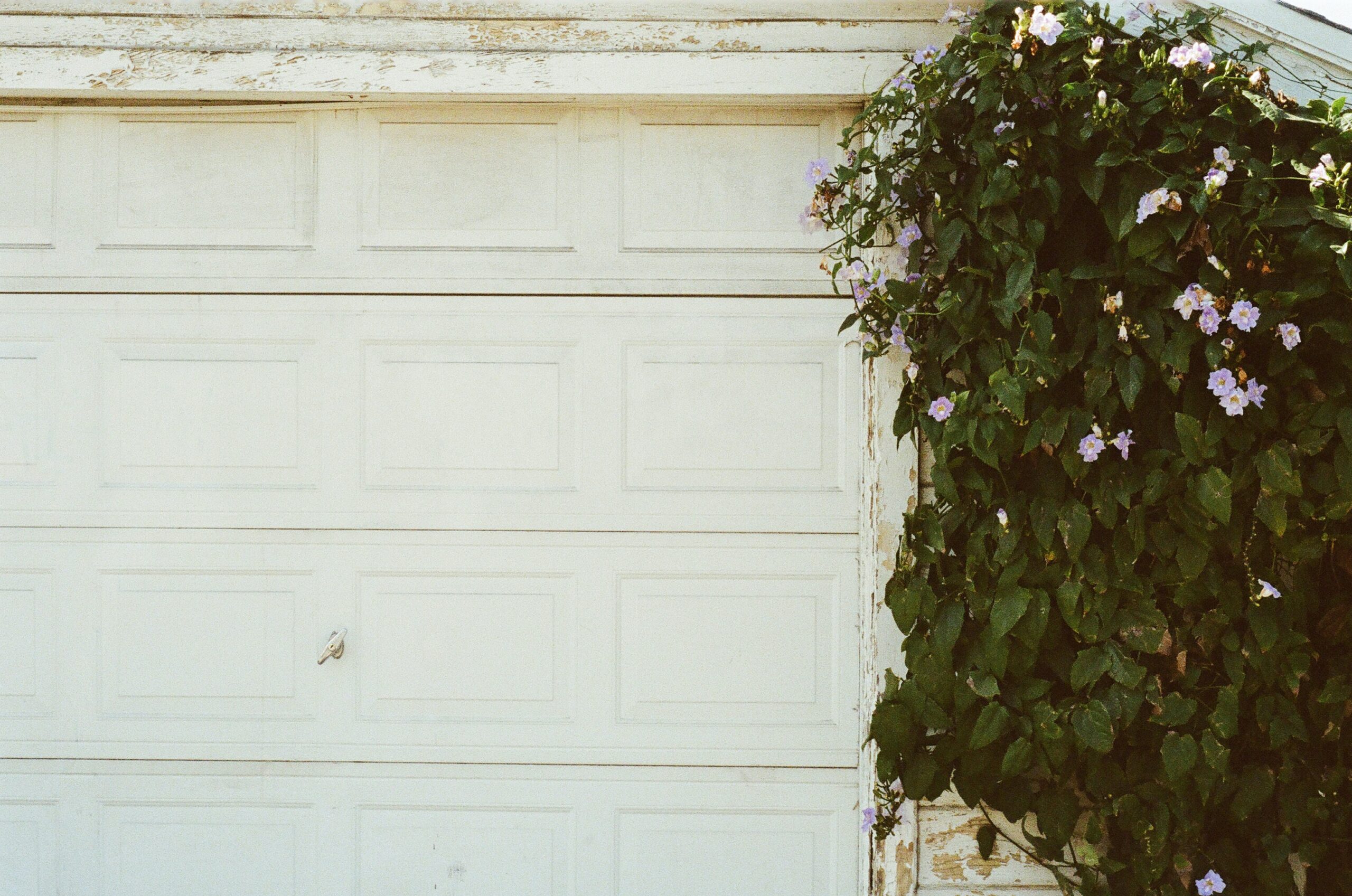 Panel Replacement vs. Garage Door Replacement Panel Replacement vs. Garage Door Replacement